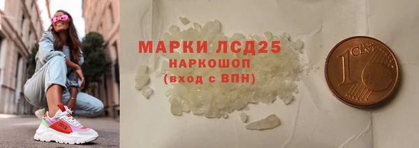прущие грибы Михайлов