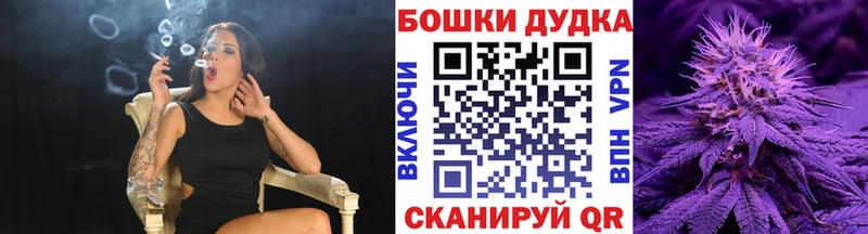 Бошки марихуана THC 21%  цены   Шилка 